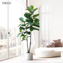 Roman mother simulation green plant decoration fake plant decoration indoor living room cream wind potted green leaf King Kong bonsai
