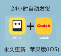 Gudak Cam POLY retro film leakage filter printing design full version selection retro film