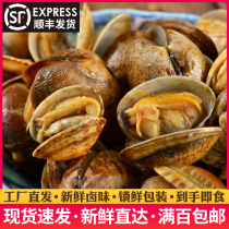 Haha mirror is spicy with clams 148 gr spicy shellfish Seafood Casual Snacks