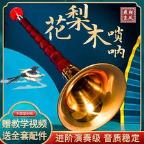 Professional Suona Musical Instruments Full Set Beginner Adult Professional Playing Type Blood Sandalwood Suona Cry D Tune Folk Horn