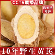 Wild Astragalus large 500g grams of premium Gansu Chinese herbal medicine official flagship store with Angelica Dangshen soaked in water