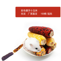 Manufacturer Straight Hair Golden Silk Bear Rabbit Dragon Cat Floral Tooth toy Teeth Toy denture Colorful Grindroe small corn grain