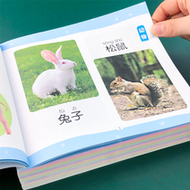 Early childhood education books Look at pictures recognize objects Fruit animals Insects dinosaurs Plants shapes and colors Numbers recognize car signs Daquan Picture books Children recognize pictures 0-3-6 years old baby books recognize objects enlightenment cognition Baby puzzle recognize objects