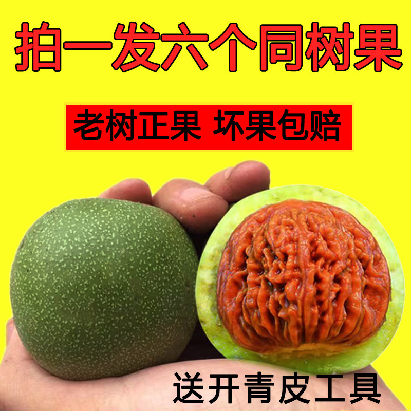 闷尖白狮子头-闷尖白狮子头促销价格、闷尖白狮子头品牌- 淘宝