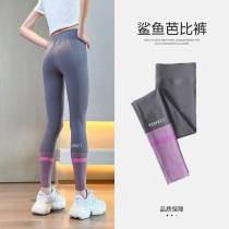 Girl Shark Pants Spring Autumn Slim Fit Childrens Underpants Outside Wearing Summer Women Great Children Summer Clothes Yoga Pants Sports Pants