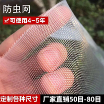 Insect chuang sha wang pig thickened encryption mosquito netting garden greenhouse fruit an Arbutus anti mosquito dedicated