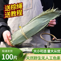 Zongzi leaf Household natural wild large Zongzi leaf Fresh commercial Dragon Boat Bag Zongzi leaf Bamboo leaf Dried Zongzi leaf