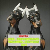 Shiba Inu special ear dog dog dog ear set earpiece erection dog corrector artifact Doberman ear clip