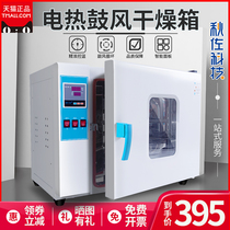 Electric constant temperature blast drying oven Laboratory industrial small high temperature oven Vacuum aging dryer oven