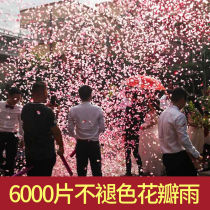Wedding Supplies Grand Courtesy Cannon Colored Ribbon Wedding Wedding Opening Wedding wedding Opening Handheld Cannon Petal Rain Starts