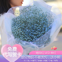Big Beam Full of Star Dried Flowers Bouquet Of Flowers Bouquet Forever flowers for boyfriend girlfriends girlfriend Birthday Gift Three-eight-Day Gift