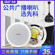 Senko Suction Top Broadcast Ceiling Wall-mounted Horn Coaxial Pendant Ball Waterproof Outdoor Soundpost Ceiling wireless Speaker Embedded Constant Pressure Public Radio Mall Shop Background Music Restaurant Acoustics