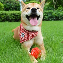 Dune Cat Shiba Dog Toys Stars Glowing Flash Rubber Elastomer Balls Resistant to Grinding Solitude Pet Supplies