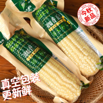  Heilong Yongsheng Northeast fresh sticky corn glutinous corn 10 sticks vacuum-packed non-GMO white bracts sticky and fragrant