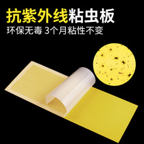 Fly-killing paper super-powerful 20 sheets of sticky fly paper fly-out lamp sticky mosquito-repellent lamp sticky insect board sticky fly Board fly paste