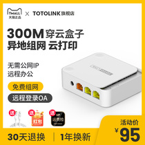 (BYPASS NETWORKING)TOTOLINK REMOTE NETWORKING REMOTE ROUTER BOX NAS COMPANION PERSONAL ENTERPRISE REMOTE OFFICE ACCESS LAN PLC REMOTE MONITORING PRINTER N220RE