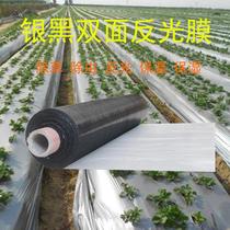 Silver black mulch film two-color reflective film agricultural weeding black film insulation moisturizing gray-white film orchard fruit tree insect-proof
