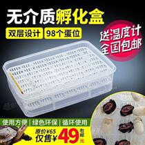 Southern stone tortoise egg incubator box tortoise egg incubator box no medium incubator box turtle crawling natural incubator