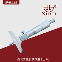 Northwest Youth Quantity Depth micrometer hole depth measurement Spiral Micrometer Gauge Depth measurement Centimetric Card 0-300mm