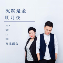 North and South combination CD album Bright Moon Night Classic old songs Cover popular car music CD lossless disc