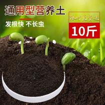 30 liters large bag of nutritional soil Family gardening fertiliser universal multimeat species of flowers and vegetables green turquois planted with soil flower mud