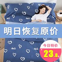 Hotel Sepal Sleeping Bag Adults Single Double Travel Theorizer Touristy Hotel Bed Linen Quilt Cover Portable Non Pure Cotton