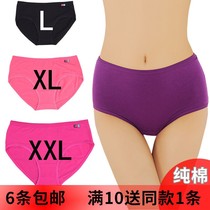 5070 cotton ladies underwear medium high waist fat plus size breifs stretch cotton fat mm bottoms