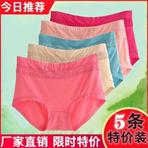 (Limited time specials) 5-piece underwear ladies non-modal mid-waist lace lace lift hip abdomen Comfort Plus