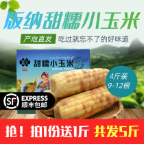 Nuomei Xishuangbanna fragrant waxy little corn Viya viya live version Fresh ready-to-eat sweet bag grain whole grain breakfast