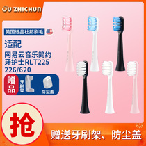 Soft hair NETEASE NETEASE Cloud Music electric toothbrush head tooth nurse RLT225 226 620 replacement brush head