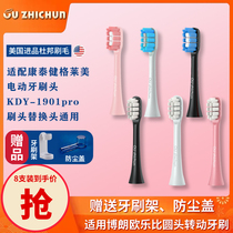 Suitable for Kangtaijian Grammy electric toothbrush head KDY-1901pro brush head replacement head Universal