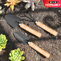 Household fleshy tool set gardening flower planting three-piece set of flower rake stainless steel mini shovel