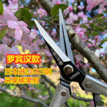 Sagawada Japan imported SK5 steel high quality gardening scissors Orchard fruit picking sparse flower thin fruit floral arrangement scissors