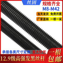 High-strength blackened screw 12 level 9 M8M10M12M16M20 National standard threaded tooth strip through wire full tooth screw