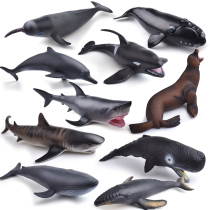 Soft glue super large soft glue simulation marine life seabed animal model childrens toy great white shark shark dolphin