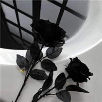Yunnan black rose dried flower bouquet black magic natural real flower forever flower home decoration photo props flower arrangement