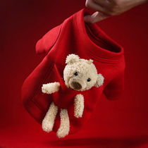 Pet clothes Little Bear sweater autumn and winter poodle cute Dart two feet small and medium cat dog clothes