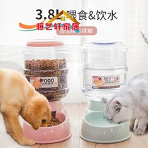 Pet Automatic Drinking Water Dispenser Grain Bucket Kitty Water Dispenser Teddy Automatic Feeder 3 8L Big Dog Supplies