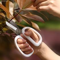 Japanese stainless steel flower scissors flower scissors Gardening branch scissors Flower branches branch repair flower pruning tools Wide mouth scissors