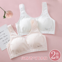 Girl underwear development period no steel ring Japanese cotton vest youth junior high school students high school girls small bra