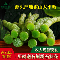 Authentic Anhui Huoshan fresh Dendrobium officinale fresh strips 500g4 years now available special grade fresh strip origin direct sales
