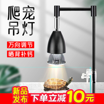 Turtle sunlit full spectrum solar uva uvb heat preservation lamp crawling pet heating bulb reptile calcium supplement lamp holder