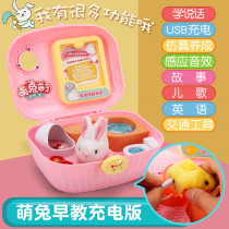 Xiaoling Lingling Happy Girl Play Home Simulation Pet Cute Chicken Development House 3 Years Old 6 Childrens Birthday Toys