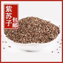 Chinese herbal medicine 500g special price perilla new goods raw perilla seed black Su
