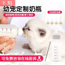 Cat kitten kitten kitten baby bottle newborn baby feeding baby nipple feeding dog device pet newborn use