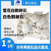 White cobblestone garden landscape fish tank landscaping Snow White Willow landscape fleshy potted stone white stone