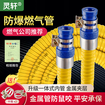 Household gas pipe hose natural gas water heater stove metal explosion-proof liquefied gas Gas Gas anti-rat bite special pipe