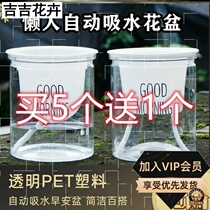 Plastic self-absorbent lazy pot green flower tree hydroponic transparent good morning Basin home living room flower pot
