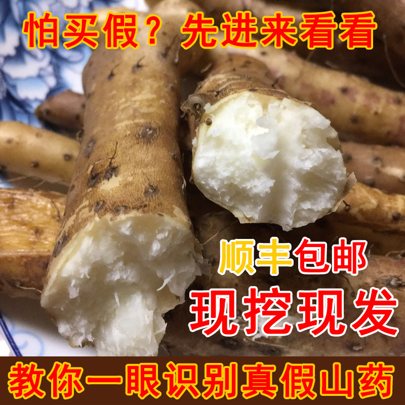 Iron stick yam fresh 5 catties Henan coking 垆 Tuhuai yam authentic Wen County specialty iron rod hardcore Huai Yamaguchi