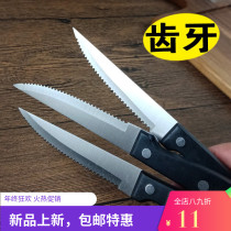 Tooth fruit knife with tooth knife tooth tooth shaped small bread knife serrated knife cut orange tomato Kiwi barbecue special
